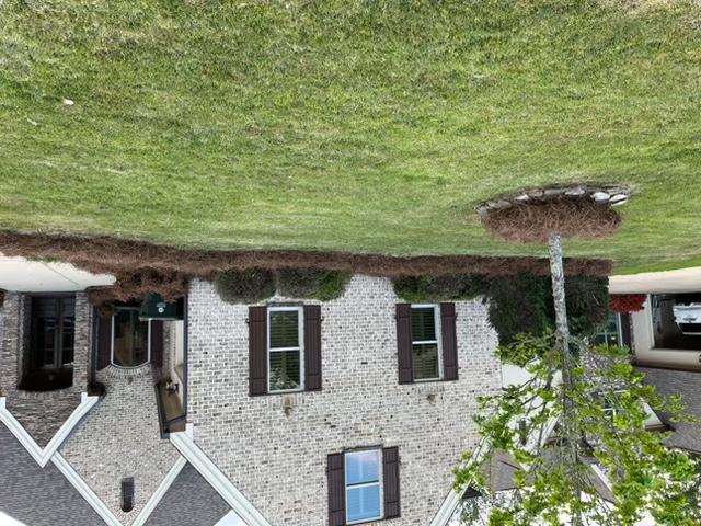 Professional lawn care service in Oxford MS