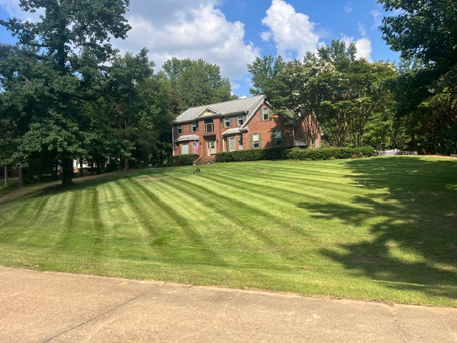 Beautiful striped lawn maintained by Miller's Lawn Management in Oxford, Mississippi