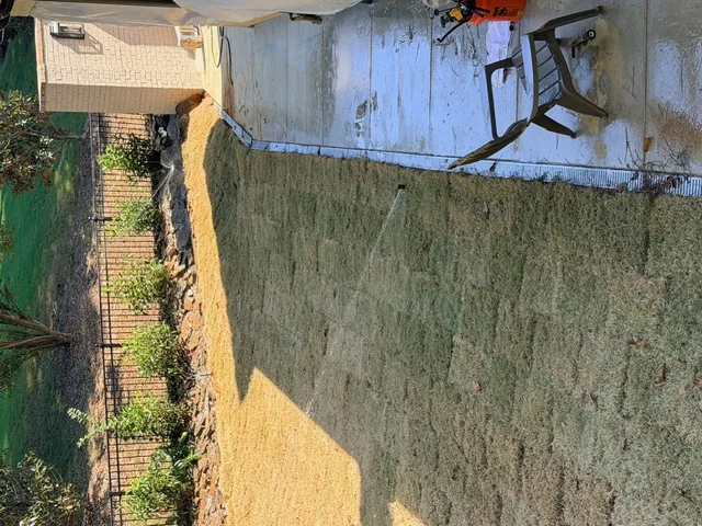Fresh sod installation next to patio