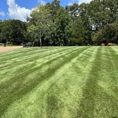 Professional striped lawn maintenance Oxford MS